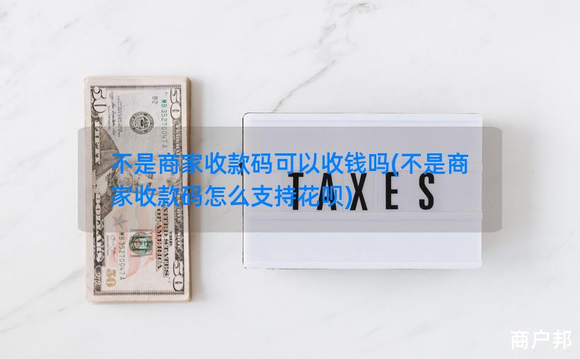 不是商家收款码可以收钱吗(不是商家收款码怎么支持花呗)
