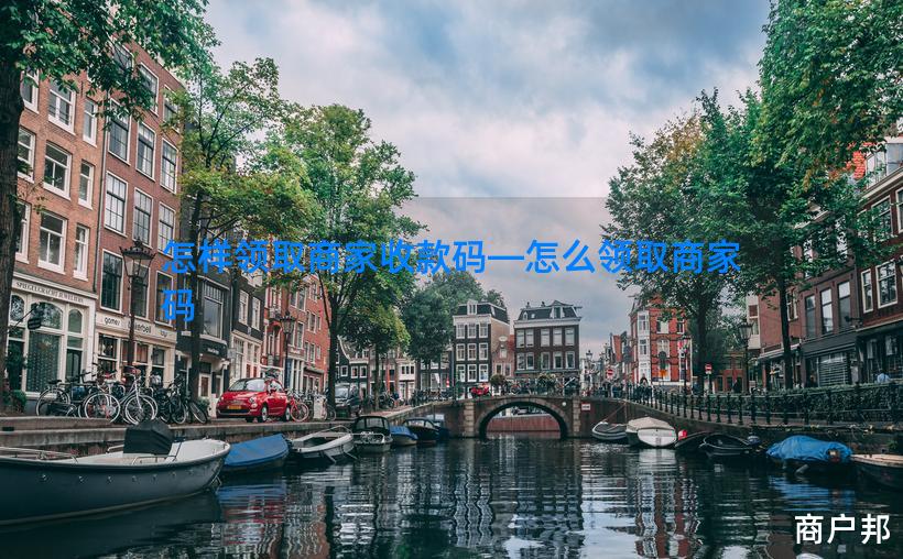 怎样领取商家收款码—怎么领取商家码