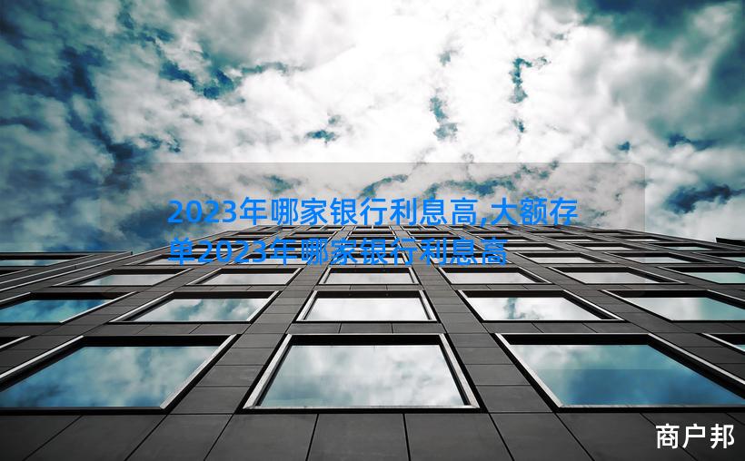 2023年哪家银行利息高,大额存单2023年哪家银行利息高