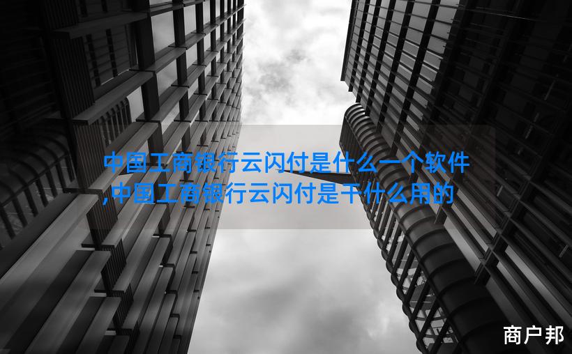 中国工商银行云闪付是什么一个软件,中国工商银行云闪付是干什么用的