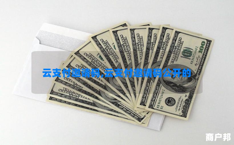 云支付邀请码,云支付邀请码公开的