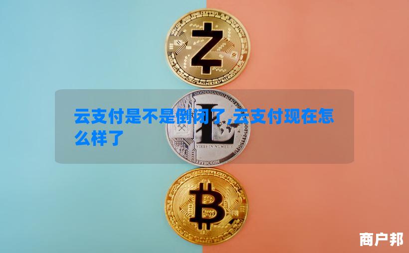 云支付是不是倒闭了,云支付现在怎么样了