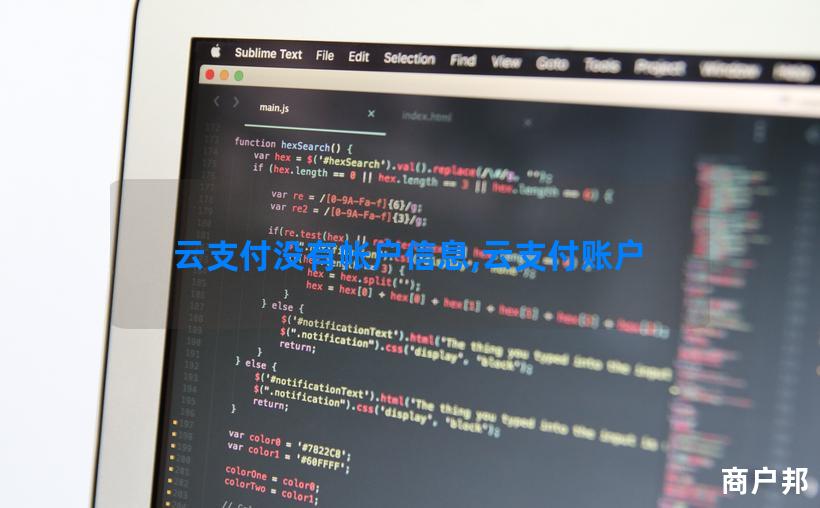 云支付没有帐户信息,云支付账户