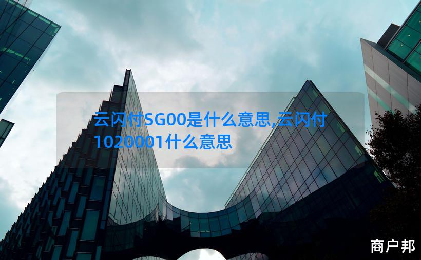 云闪付SG00是什么意思,云闪付1020001什么意思