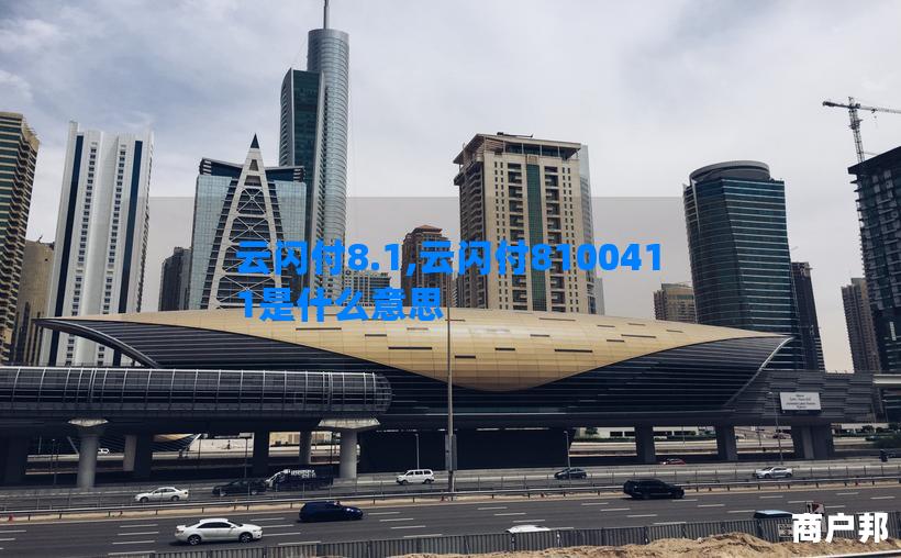 云闪付8.1,云闪付8100411是什么意思