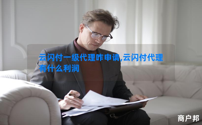 云闪付一级代理咋申请,云闪付代理有什么利润