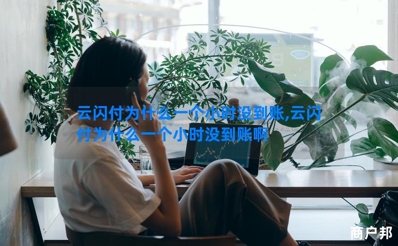 云闪付为什么一个小时没到账,云闪付为什么一个小时没到账啊