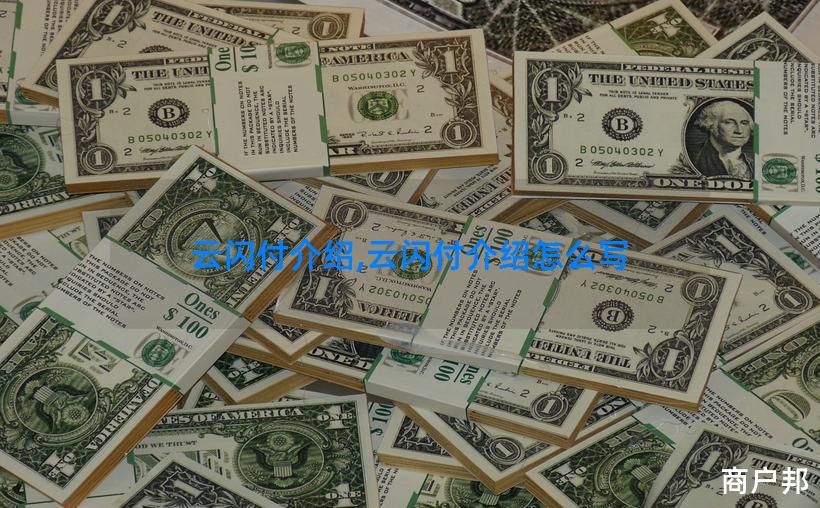 云闪付介绍,云闪付介绍怎么写