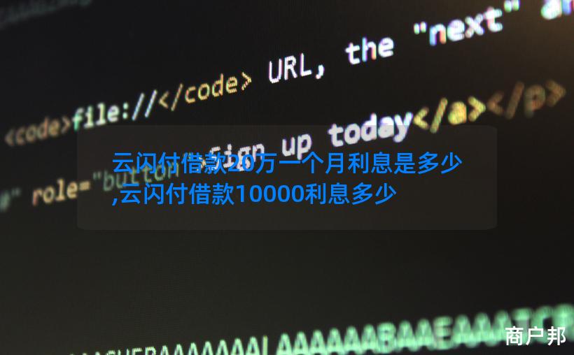 云闪付借款20万一个月利息是多少,云闪付借款10000利息多少