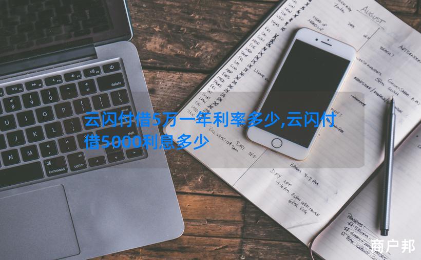 云闪付借5万一年利率多少,云闪付借5000利息多少