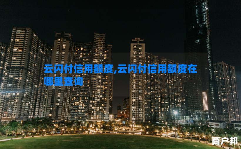 云闪付信用额度,云闪付信用额度在哪里查询