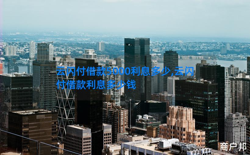 云闪付借款5000利息多少,云闪付借款利息多少钱