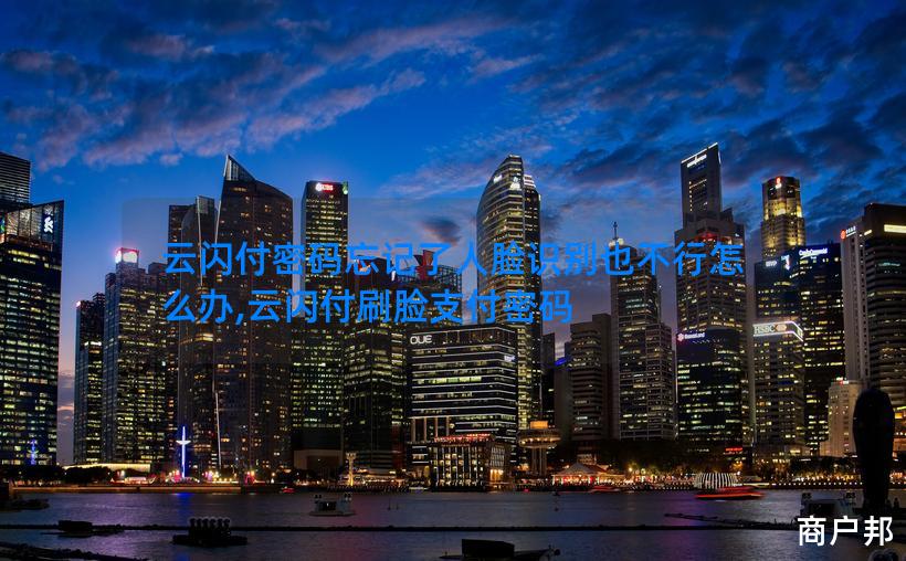 云闪付密码忘记了人脸识别也不行怎么办,云闪付刷脸支付密码