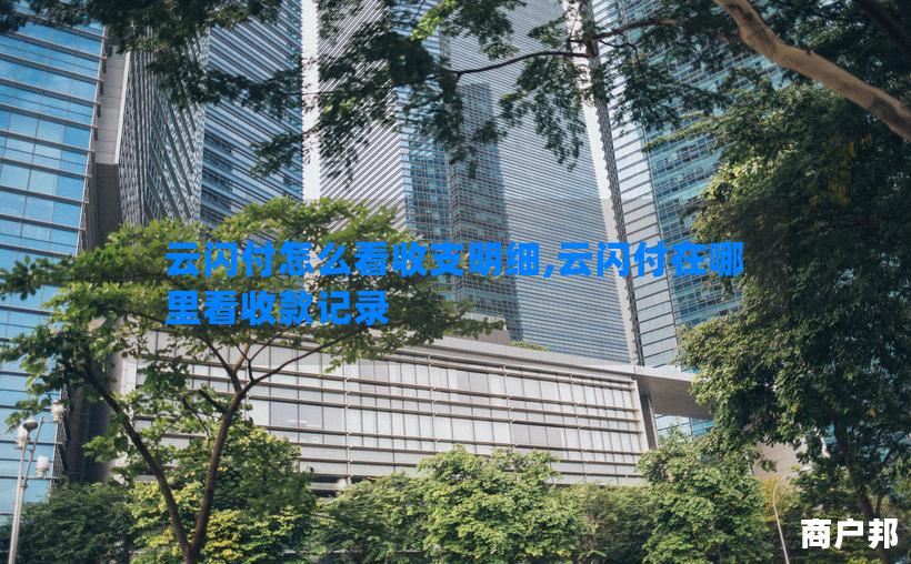 云闪付怎么看收支明细,云闪付在哪里看收款记录