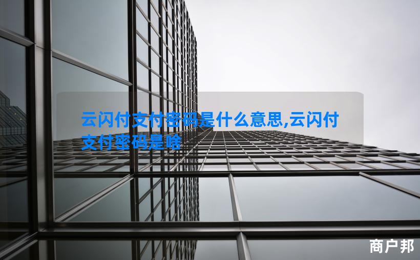 云闪付支付密码是什么意思,云闪付支付密码是啥