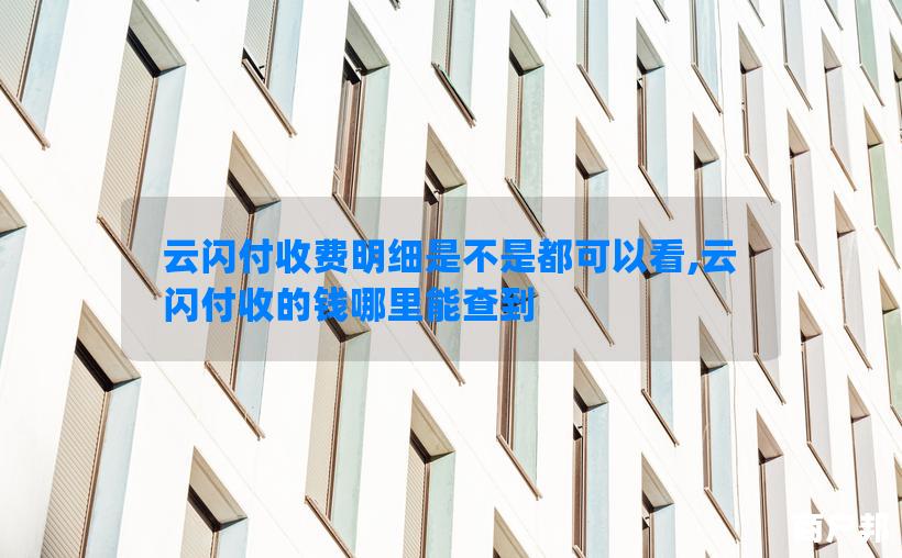 云闪付收费明细是不是都可以看,云闪付收的钱哪里能查到