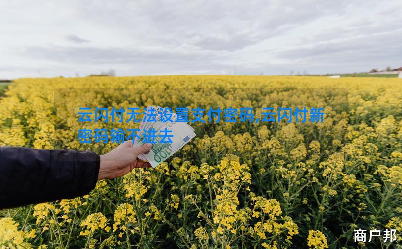 云闪付无法设置支付密码,云闪付新密码输不进去