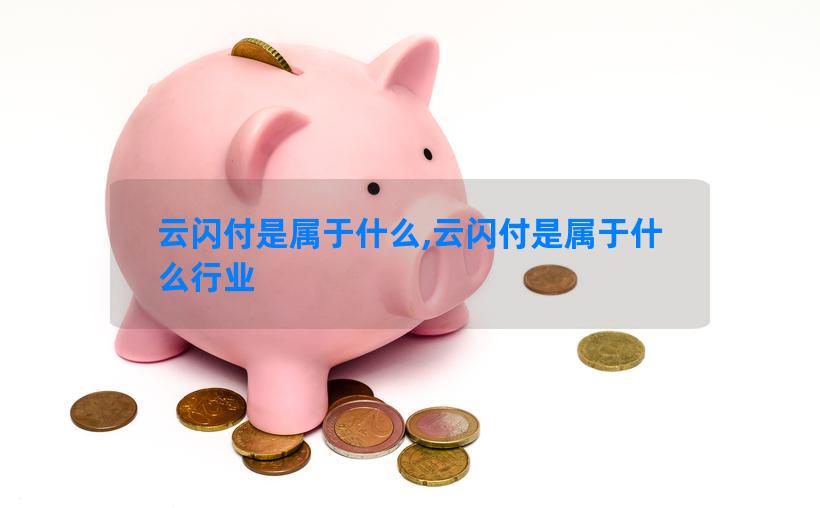 云闪付是属于什么,云闪付是属于什么行业