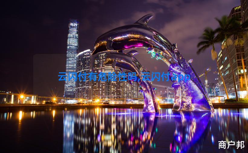 云闪付有危险性吗,云闪付app