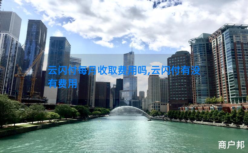 云闪付每月收取费用吗,云闪付有没有费用