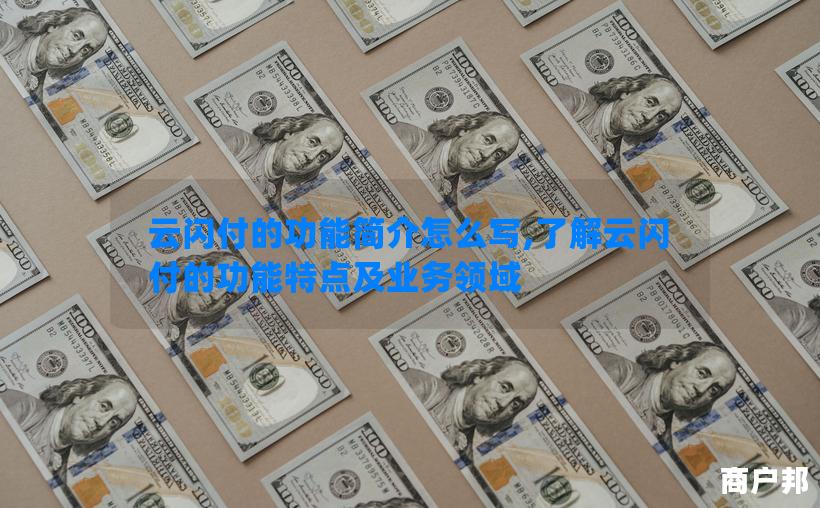 云闪付的功能简介怎么写,了解云闪付的功能特点及业务领域