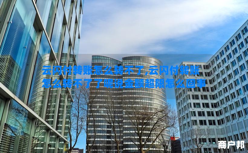 云闪付转账怎么转不了,云闪付转账怎么转不了了呢说金额超限怎么回事