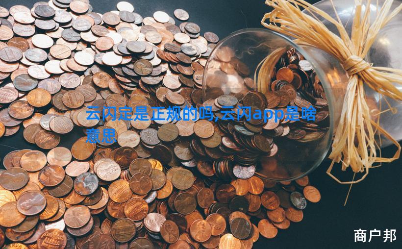 云闪定是正规的吗,云闪app是啥意思