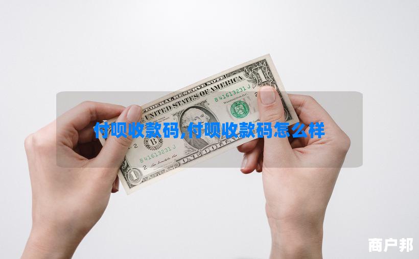 付呗收款码,付呗收款码怎么样