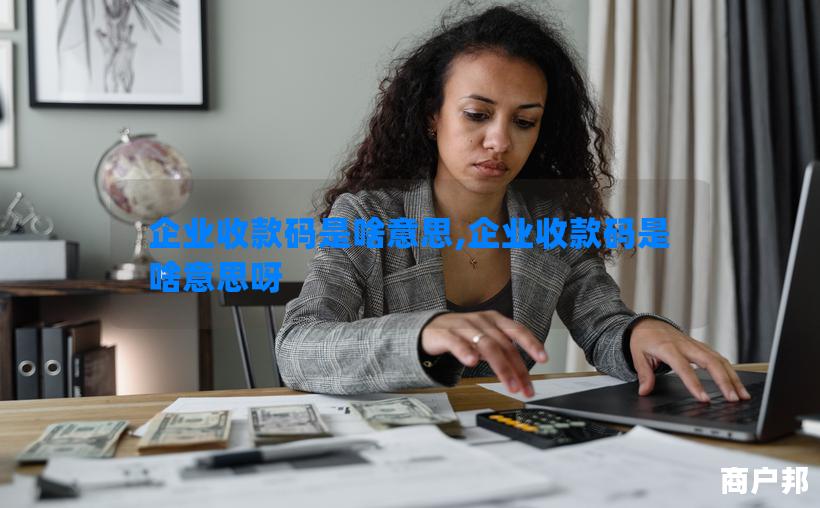 企业收款码是啥意思,企业收款码是啥意思呀