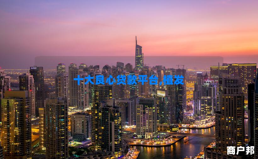 十大良心贷款平台,植发