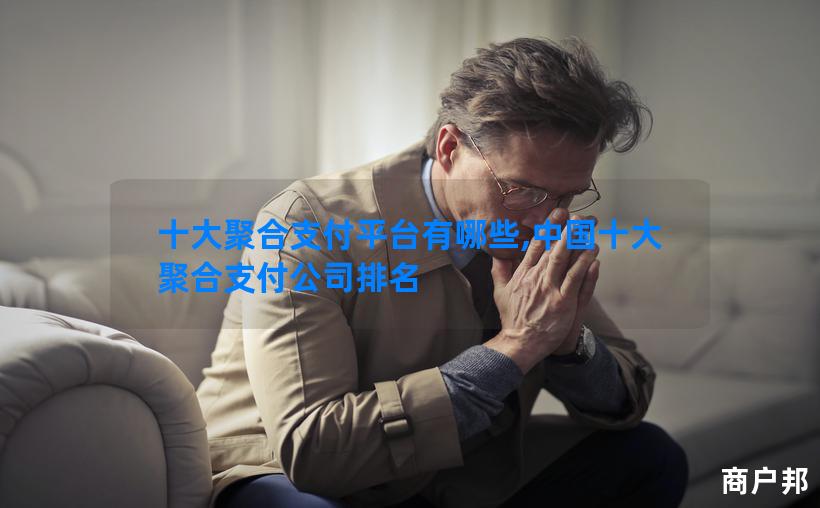 十大聚合支付平台有哪些,中国十大聚合支付公司排名