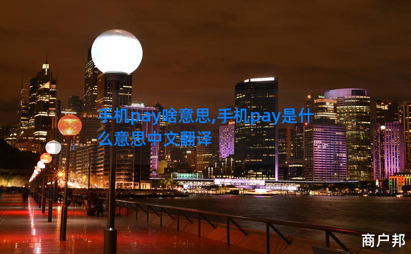 手机pay啥意思,手机pay是什么意思中文翻译