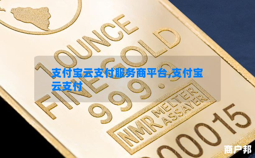 支付宝云支付服务商平台,支付宝 云支付