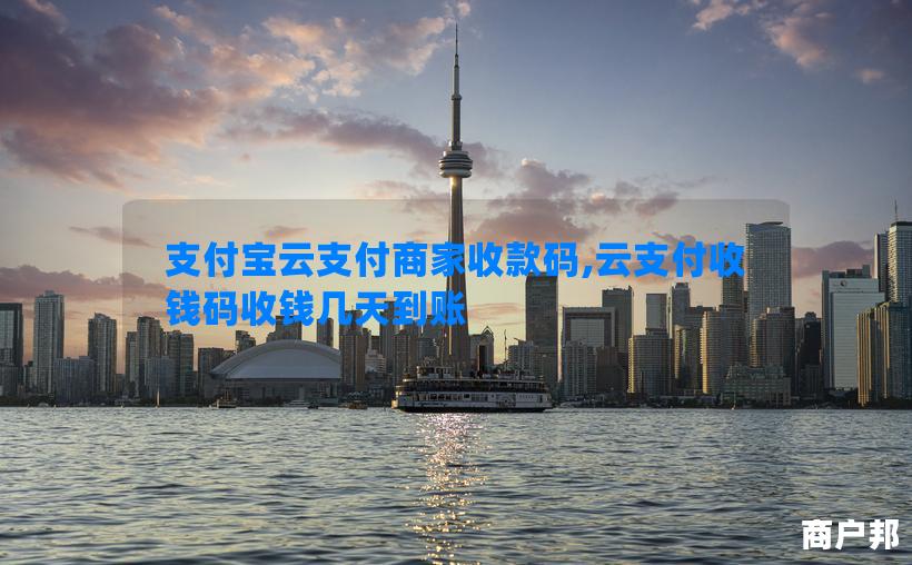 支付宝云支付商家收款码,云支付收钱码收钱几天到账