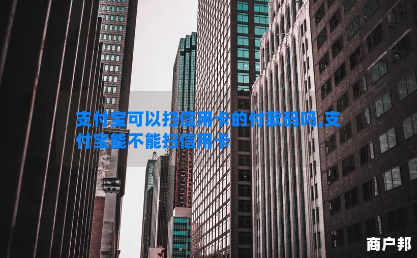 支付宝可以扫信用卡的付款码吗,支付宝能不能扫信用卡