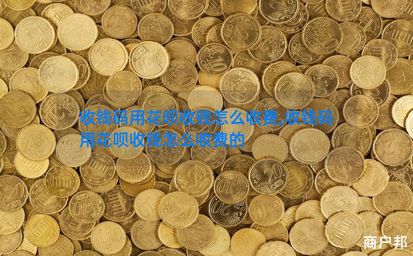收钱码用花呗收钱怎么收费,收钱码用花呗收钱怎么收费的