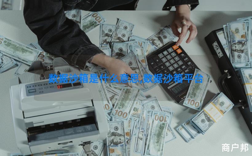 数据沙箱是什么意思,数据沙箱平台