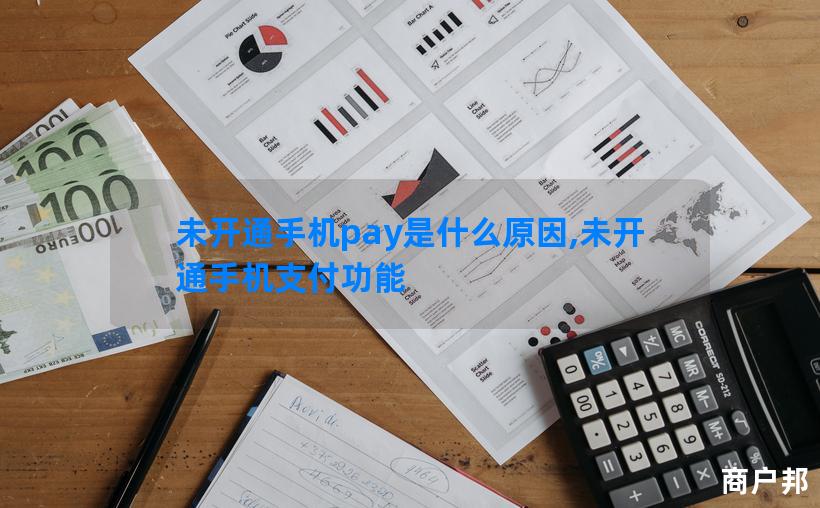 未开通手机pay是什么原因,未开通手机支付功能