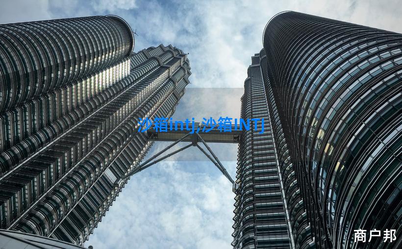 沙箱intj,沙箱INTJ
