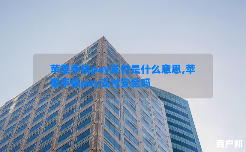 苹果手机pay支付是什么意思,苹果手机pay支付安全吗