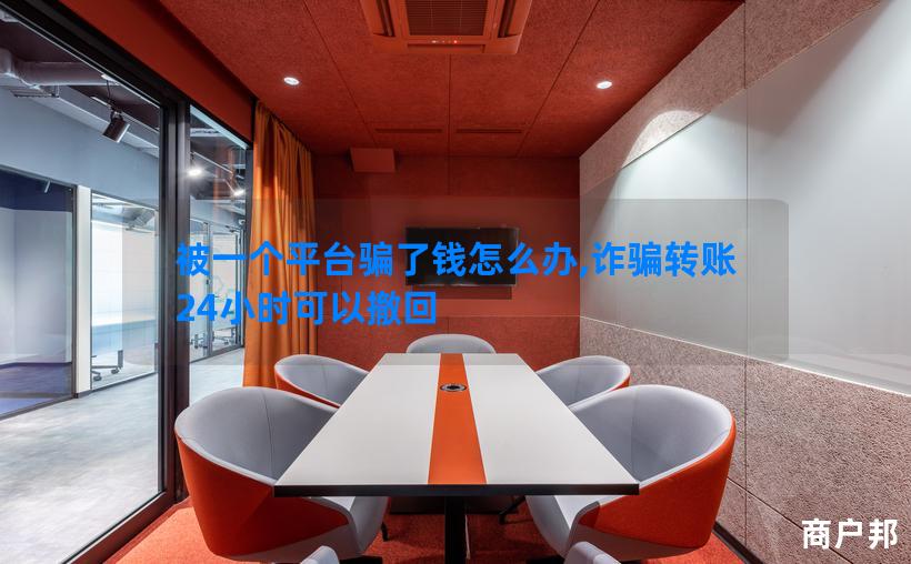 被一个平台骗了钱怎么办,诈骗转账24小时可以撤回