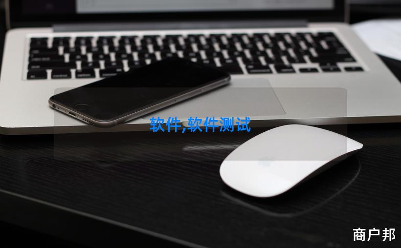 软件,软件测试