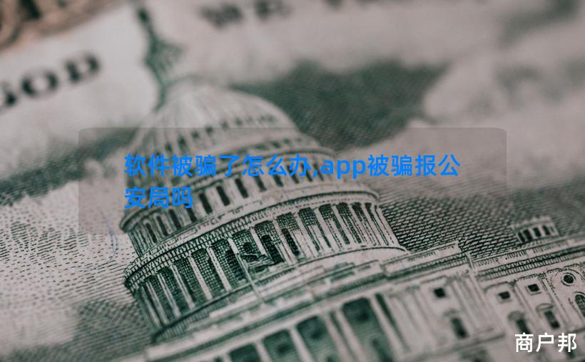 软件被骗了怎么办,app被骗报公安局吗