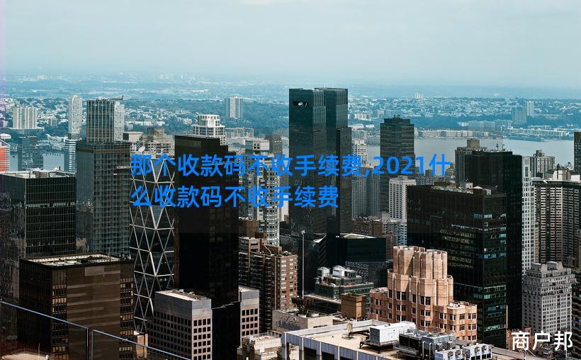 那个收款码不收手续费,2021什么收款码不收手续费